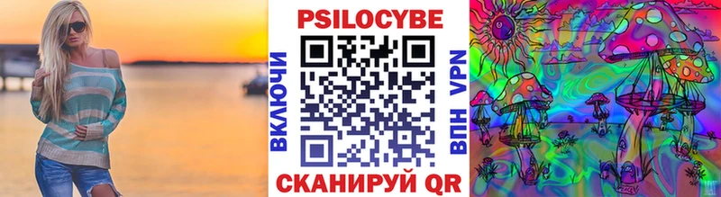 где купить наркоту  Нюрба  кракен ТОР  Галлюциногенные грибы Cubensis 